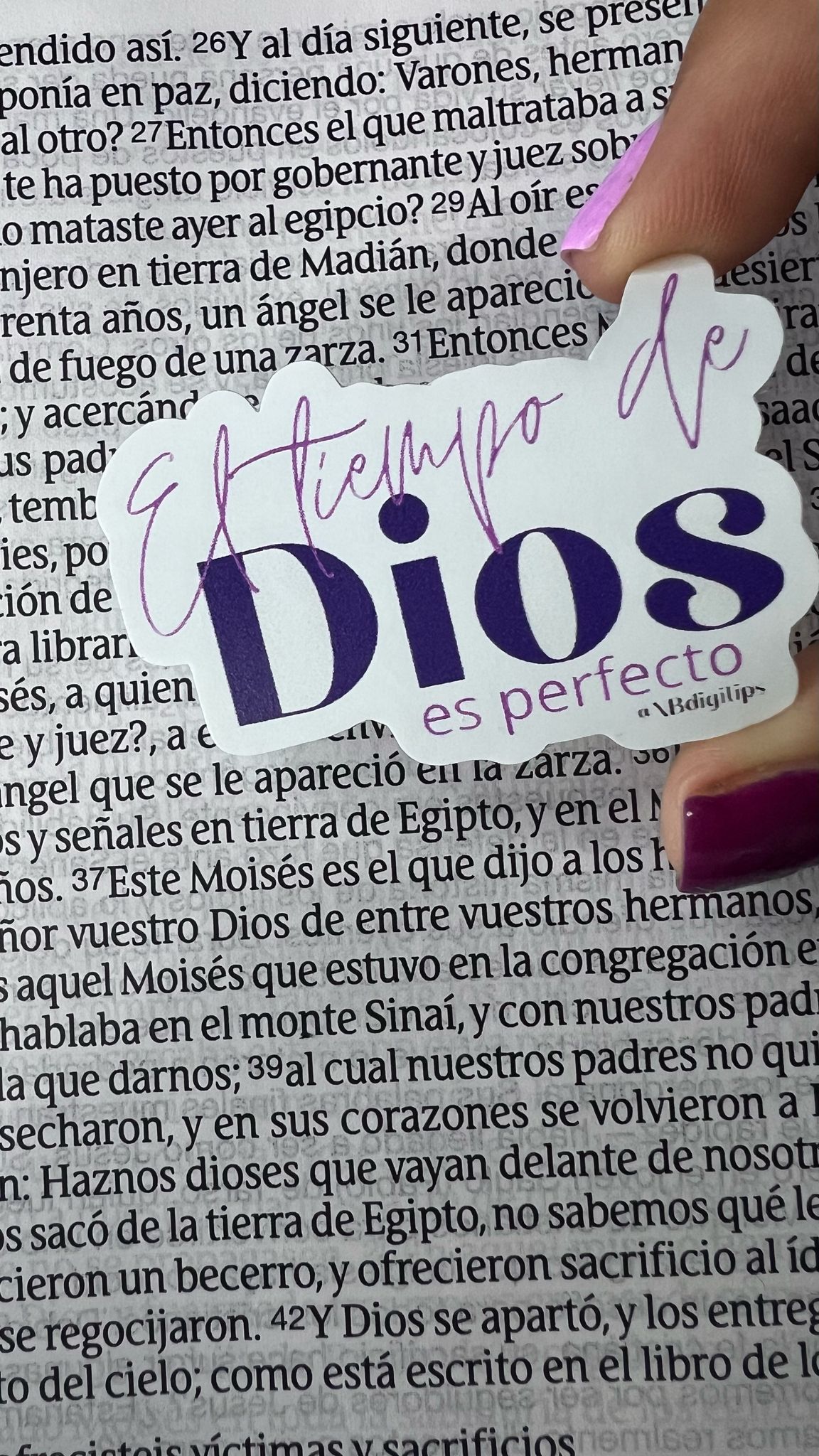 4 - El tiempo de Dios es perfecto