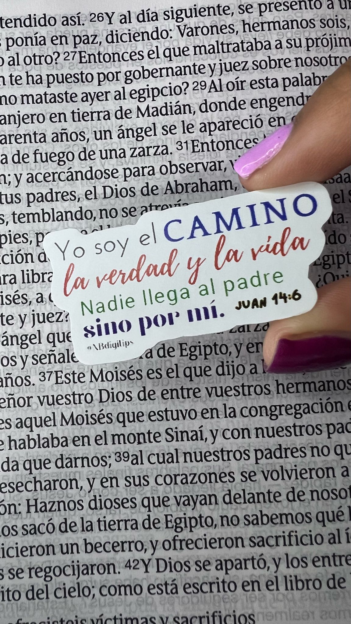 2 - Juan 14:6
