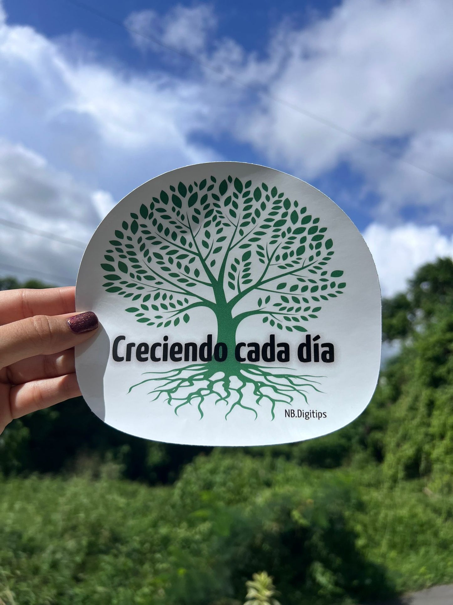 14 - Creciendo cada día